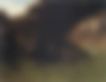 La petite bergere - young shepherdess (preview)