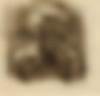 Female nude (preview)