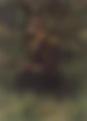Woman reading in meadow (preview)