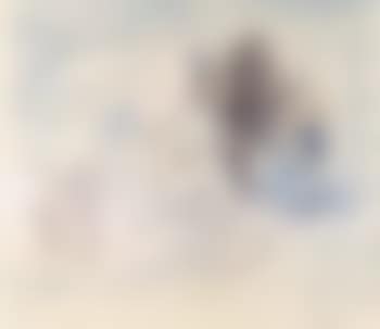 Composition (preview)
