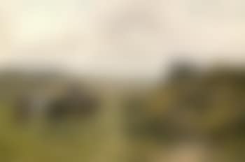 Curragh (preview)