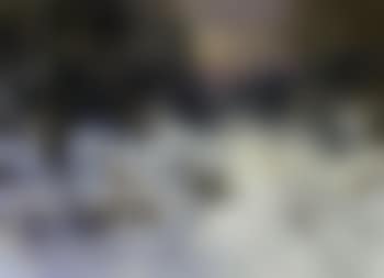 Winter, Bacton Woods (preview)