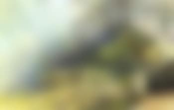 Autumn sunlight (preview)