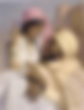 Desert flirtation (preview)