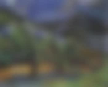 Paysage de Provence (preview)