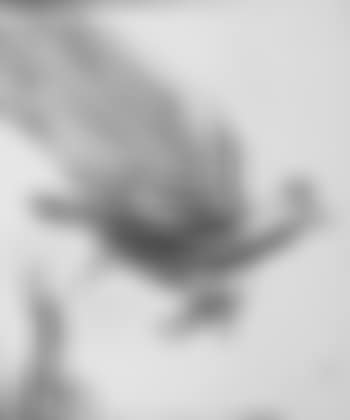 American eagle with flag and soldier soils our liberties (preview)