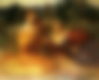 Musicienne du silence (preview)