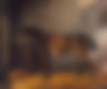 Study of a bay horse (preview)