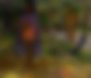 Incantation or L'Apparition (preview)