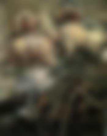 Graue Hunde, drei streifen (preview)