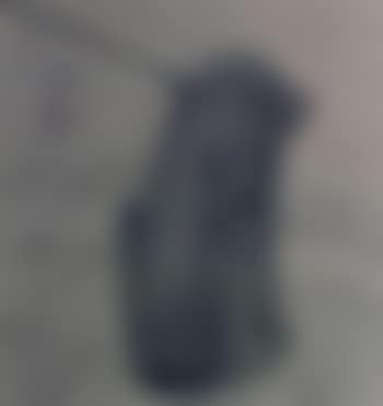 Sad dog by Laurence Stephen Lowry (preview)