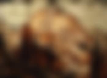 Ronda (preview)