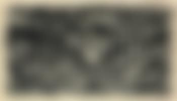Junkernboden (preview)