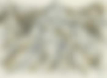 Carrara (preview)