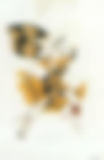 Sketch for ballet costume (preview)