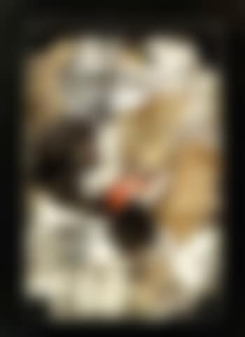 Poubelle (preview)