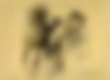 Men leading two horses (preview)