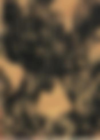 Three heads (preview)