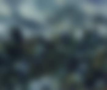 Landscape, Titirangi (preview)