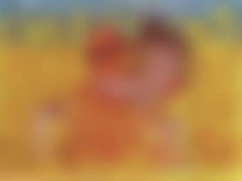 Monk in the cornfield (preview)