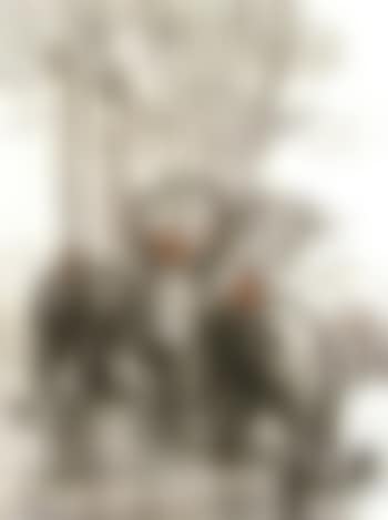 Elephants s'abreuvant (preview)