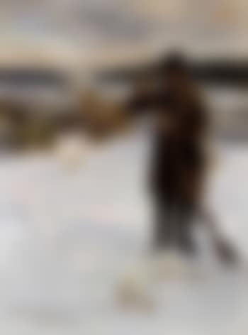 Peasant hunter in snowy landscape (preview)
