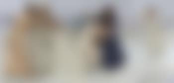 Susanna in the bath (preview)