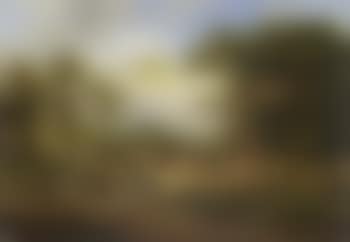Landscape with man and cattle on village road (preview)