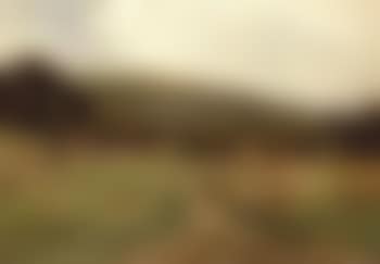 Harvesting time (preview)