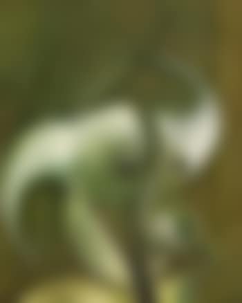 Tete d'homme (preview)