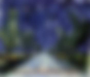 Landstrasse. Winter landscape (preview)