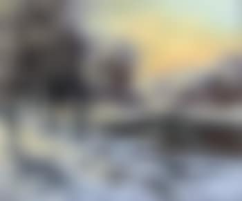 Fresh snow on a wooded winter landscape (preview)