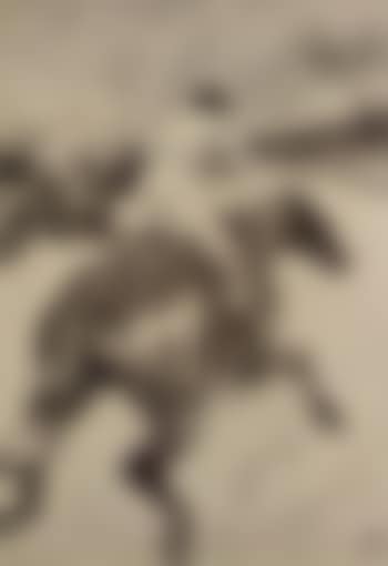 Le jockey (preview)