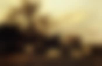 Farm animals at rest (preview)