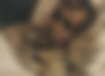 Portrait of the artist's friend Jos Van Wassenhove (preview)