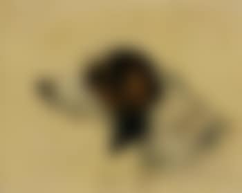 Chien de chasse (preview)