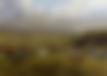 Mendip hunt near wells (preview)