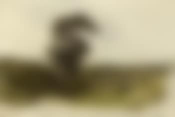 Extensive landscape in North Wales (preview)