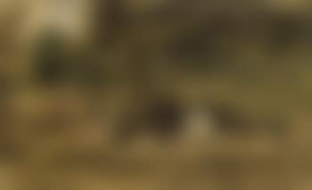 Resting woodcutters, Bray Wood, Windsor (preview)