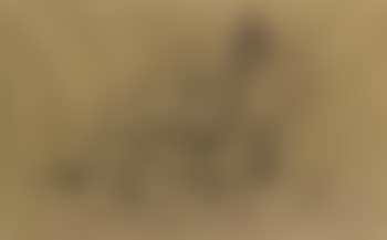 Nude reclining (preview)