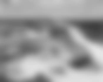 Cape Cod dunes (preview)