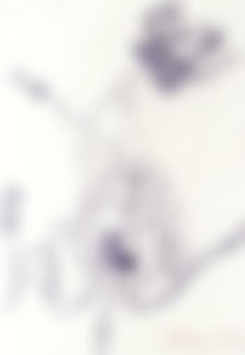 Belier (preview)