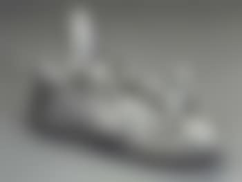 Silver shoe (preview)