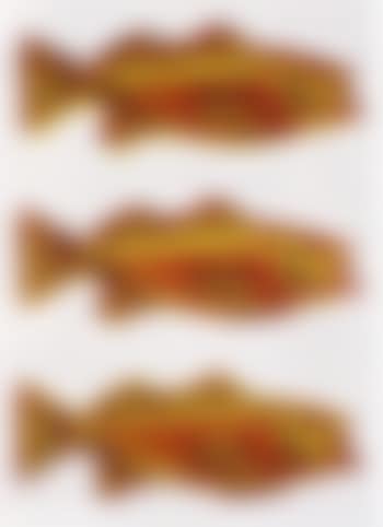 Untitled, fish (preview)