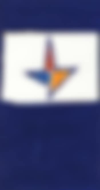 Testa orfica (preview)