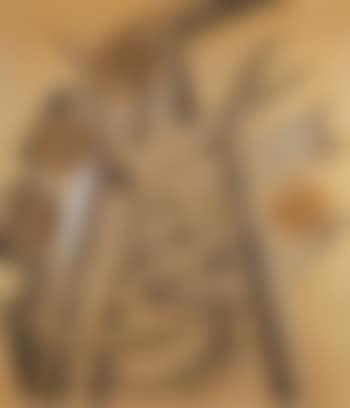 Lo sciatore (preview)