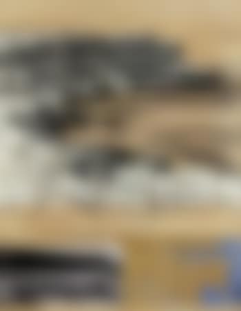 Packed Coast, project for Little Bay, near Sidney, Australia (preview)