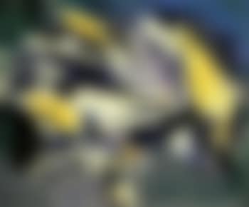 Virage au bleu (preview)