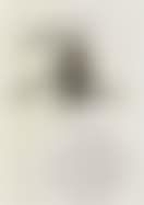 Olive pour le livre "les 50 secrets magiques" (preview)