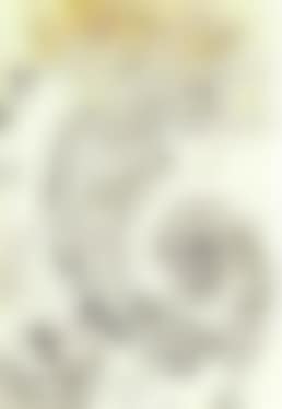 Spirale (preview)
